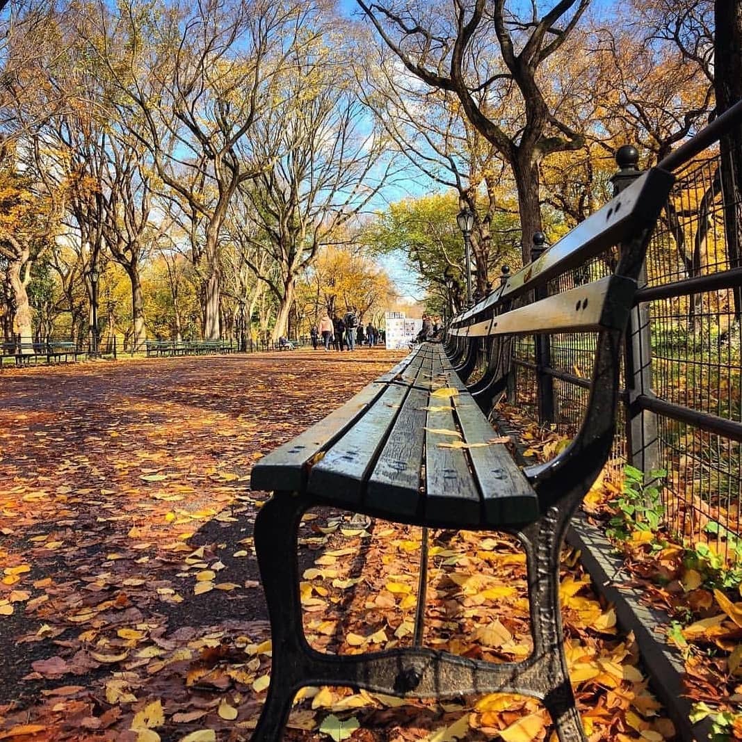 Photo by The Lucerne New York in Central Park with @centralparknyc, and @centralparkbenches.