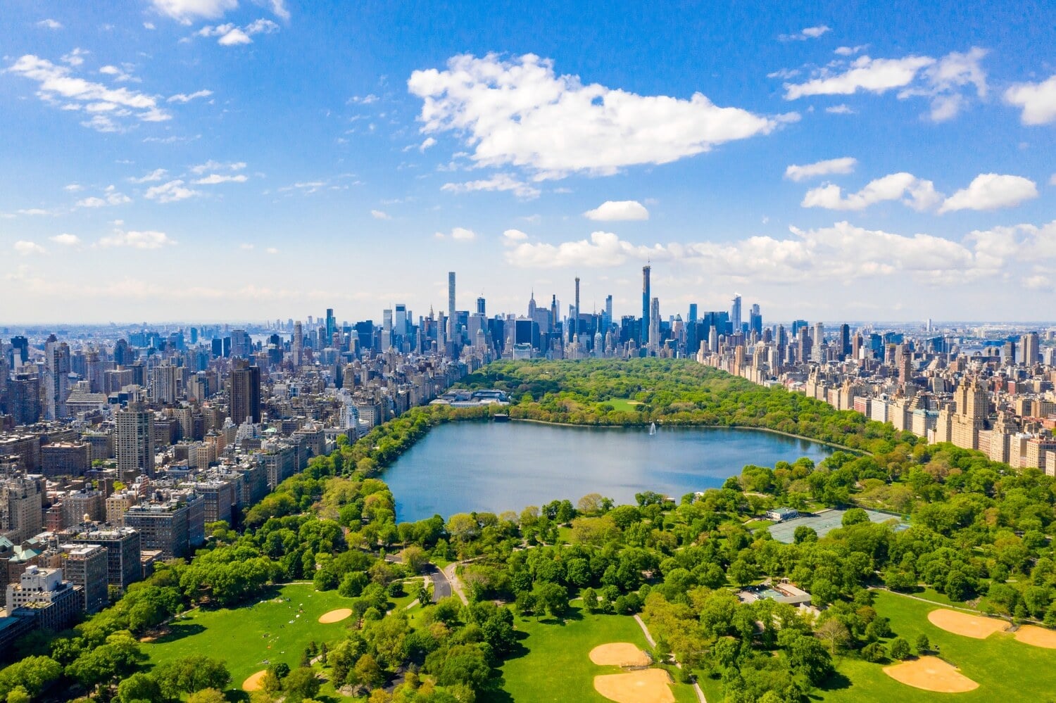 central park_1
