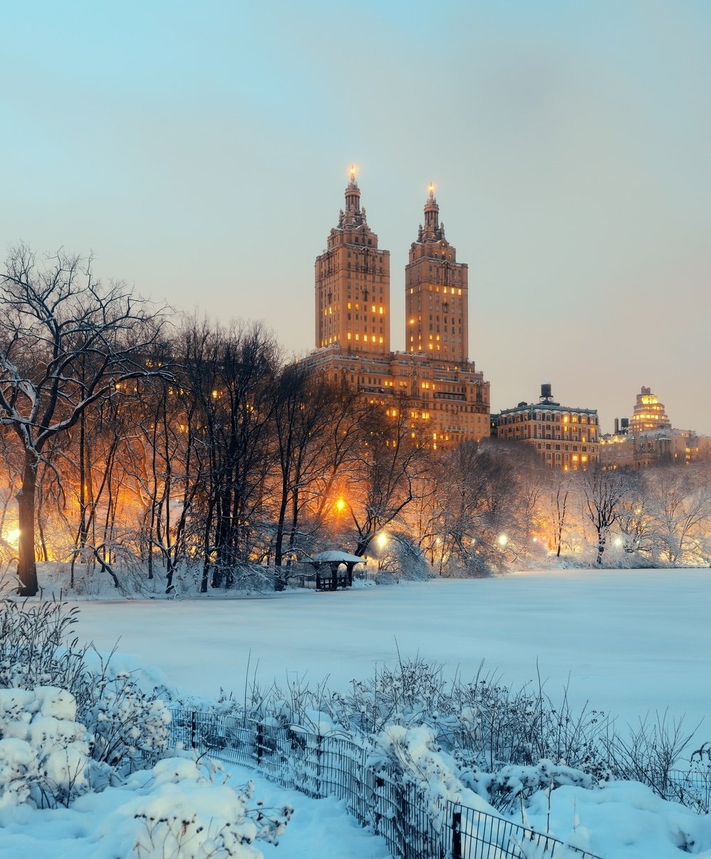 winter flash sale copy